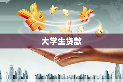 银川大学生贷款