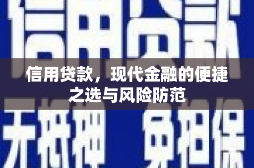 银川信用贷款，现代金融的便捷之选与风险防范