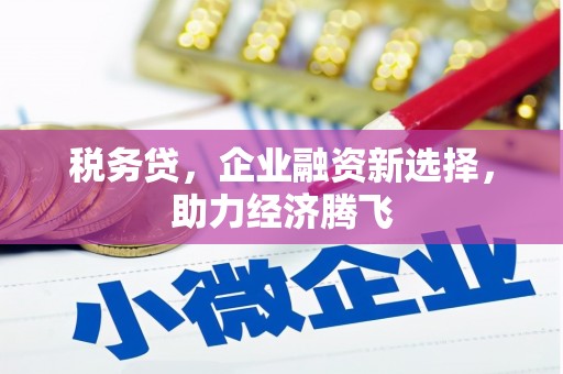 银川税务贷，企业融资新选择，助力经济腾飞
