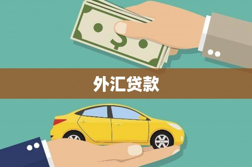 银川外汇贷款