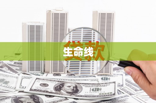 银川生命线