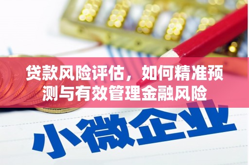 银川贷款风险评估，如何精准预测与有效管理金融风险