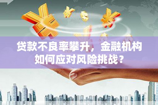银川贷款不良率攀升，金融机构如何应对风险挑战？