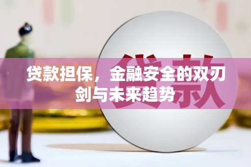 银川贷款担保，金融安全的双刃剑与未来趋势