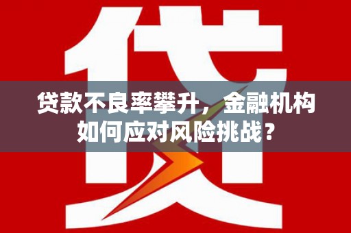 银川贷款不良率攀升，金融机构如何应对风险挑战？