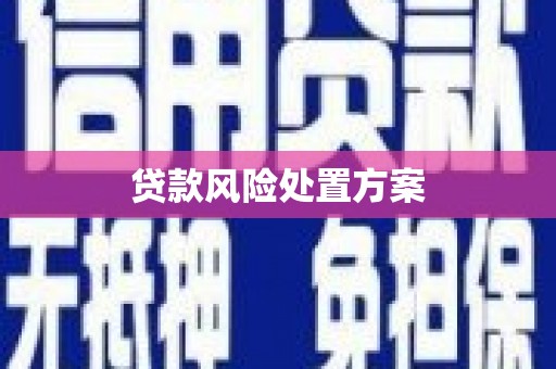 银川贷款风险处置方案