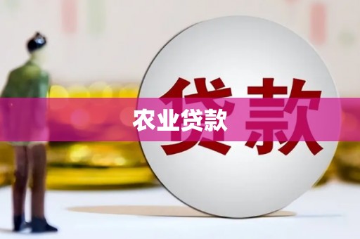银川农业贷款