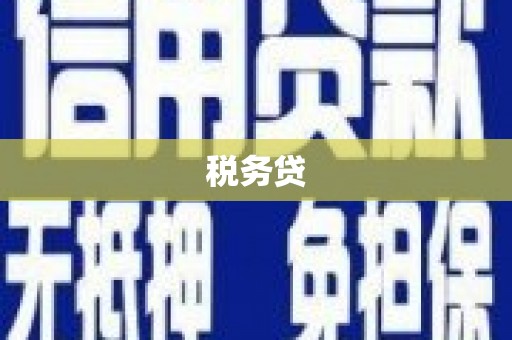 银川税务贷