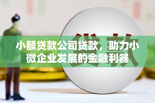 银川小额贷款公司贷款，助力小微企业发展的金融利器