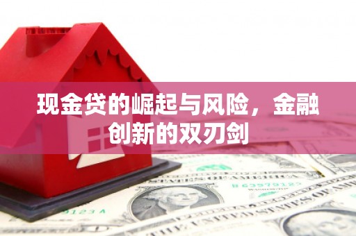 银川现金贷的崛起与风险，金融创新的双刃剑