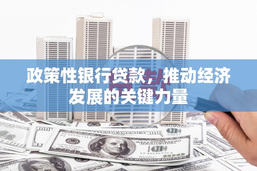 银川政策性银行贷款，推动经济发展的关键力量