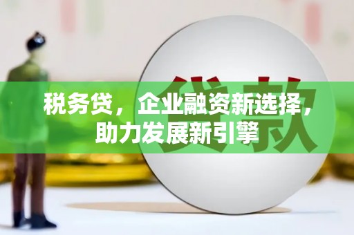 银川税务贷，企业融资新选择，助力发展新引擎