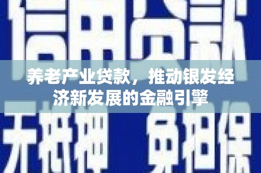 银川养老产业贷款，推动银发经济新发展的金融引擎