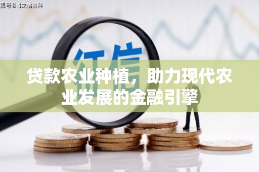 银川贷款农业种植，助力现代农业发展的金融引擎