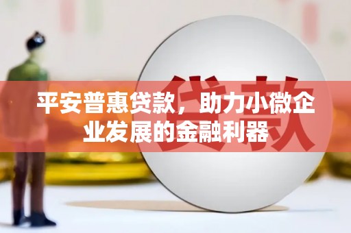 银川平安普惠贷款，助力小微企业发展的金融利器