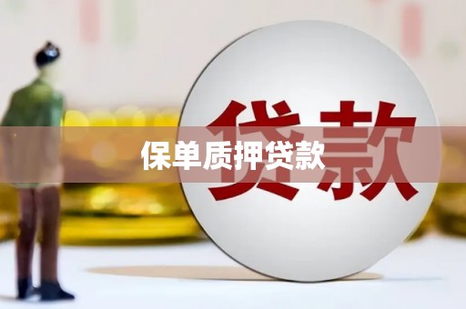 银川保单质押贷款