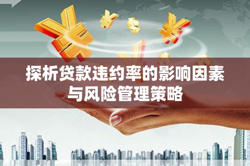 银川探析贷款违约率的影响因素与风险管理策略