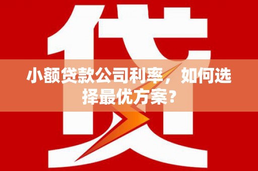银川小额贷款公司利率，如何选择最优方案？