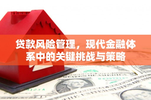 银川贷款风险管理，现代金融体系中的关键挑战与策略