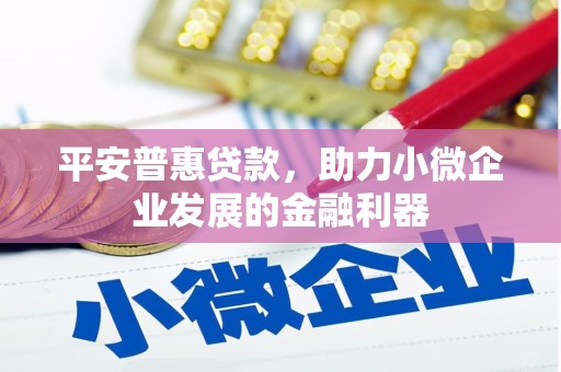 银川平安普惠贷款，助力小微企业发展的金融利器