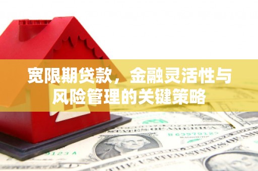 银川宽限期贷款，金融灵活性与风险管理的关键策略