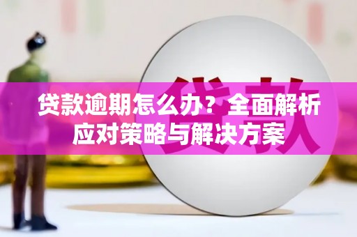 银川贷款逾期怎么办？全面解析应对策略与解决方案
