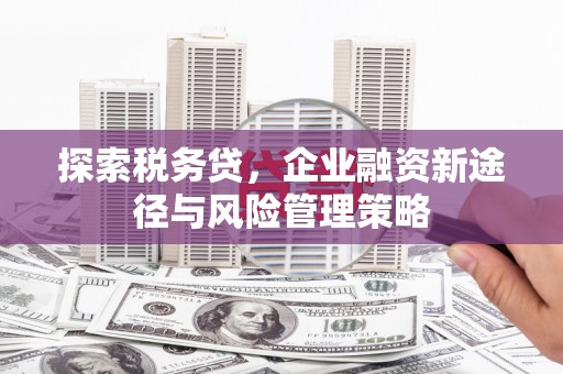 银川探索税务贷，企业融资新途径与风险管理策略