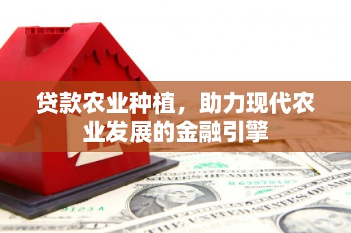 银川贷款农业种植，助力现代农业发展的金融引擎
