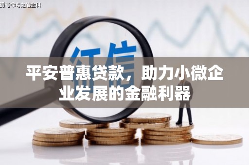 银川平安普惠贷款，助力小微企业发展的金融利器