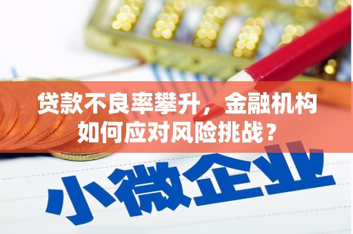 银川贷款不良率攀升，金融机构如何应对风险挑战？