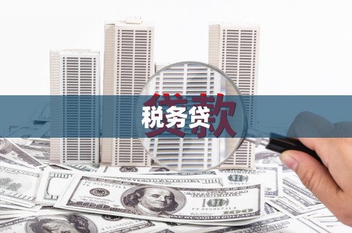 银川税务贷