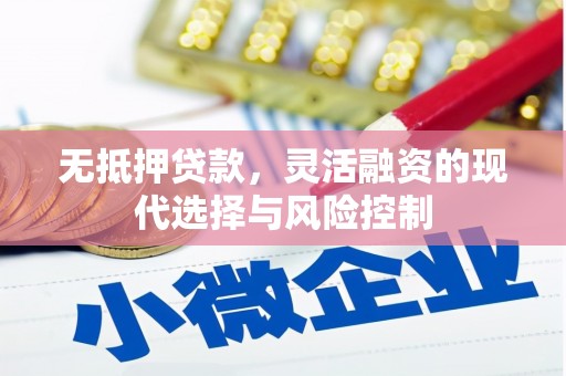 银川无抵押贷款，灵活融资的现代选择与风险控制