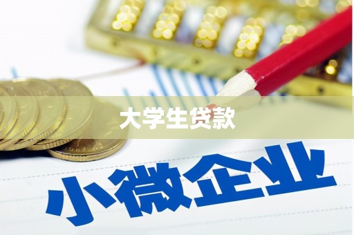 银川大学生贷款