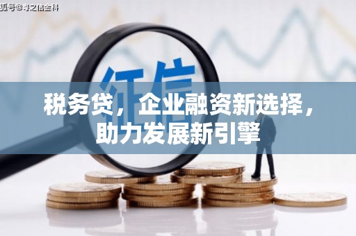 银川税务贷，企业融资新选择，助力发展新引擎