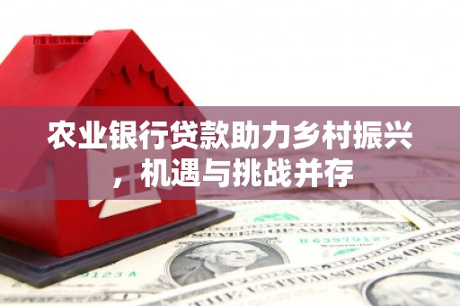 银川农业银行贷款助力乡村振兴，机遇与挑战并存