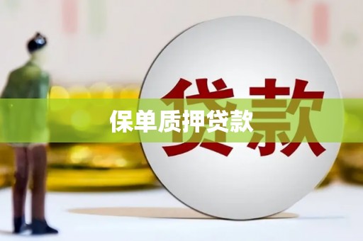 银川保单质押贷款