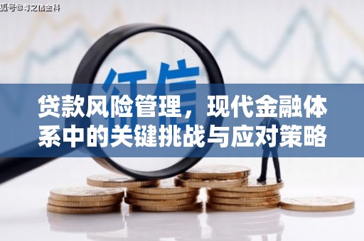 银川贷款风险管理，现代金融体系中的关键挑战与应对策略