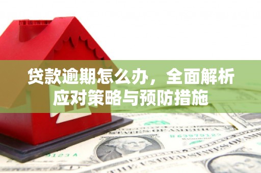 银川贷款逾期怎么办，全面解析应对策略与预防措施