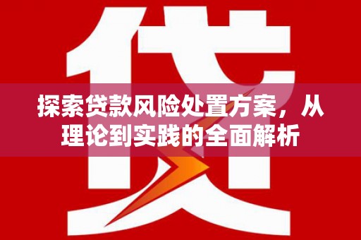 银川探索贷款风险处置方案，从理论到实践的全面解析