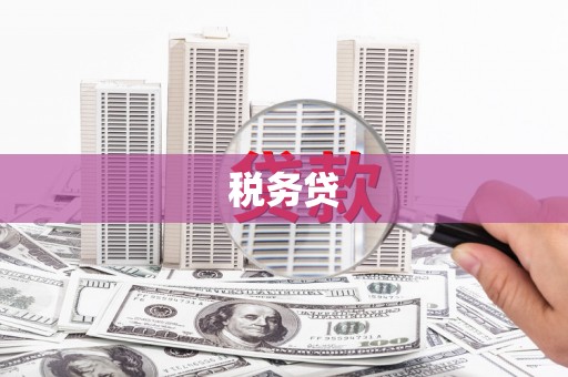 银川税务贷