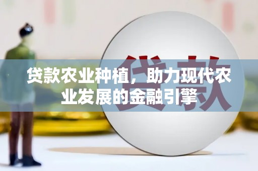 银川贷款农业种植，助力现代农业发展的金融引擎