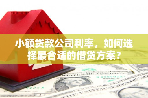 银川小额贷款公司利率，如何选择最合适的借贷方案？