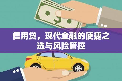 银川信用贷，现代金融的便捷之选与风险管控