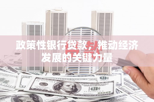 银川政策性银行贷款，推动经济发展的关键力量