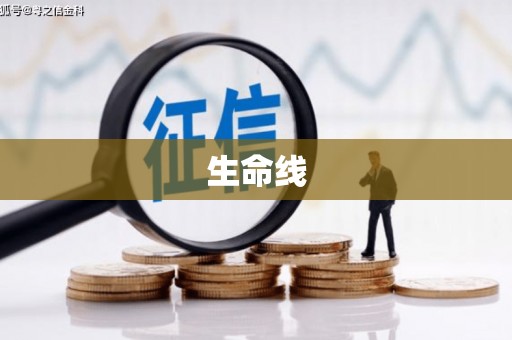 银川生命线