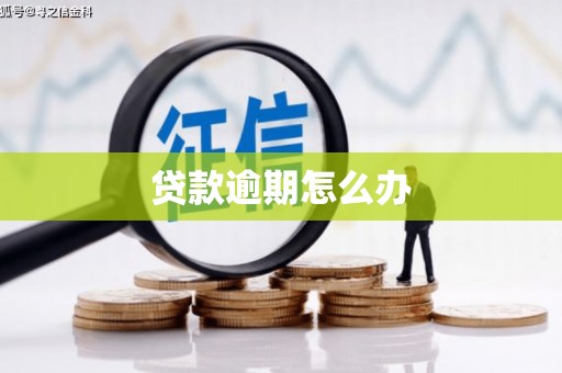 银川贷款逾期怎么办