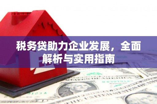 银川税务贷助力企业发展，全面解析与实用指南