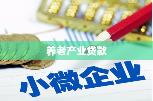 银川养老产业贷款