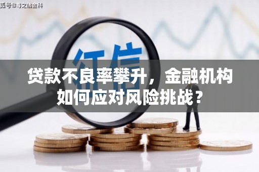 银川贷款不良率攀升，金融机构如何应对风险挑战？