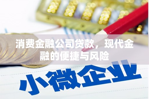 银川消费金融公司贷款，现代金融的便捷与风险